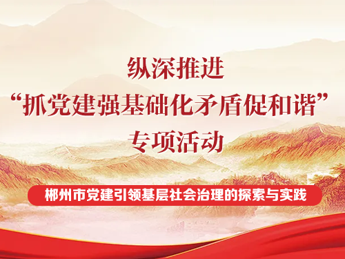 纵深推进“抓党建强基础化矛盾促和谐” 专项活动 ——郴州市党建引领基层社会治理的探索与实践