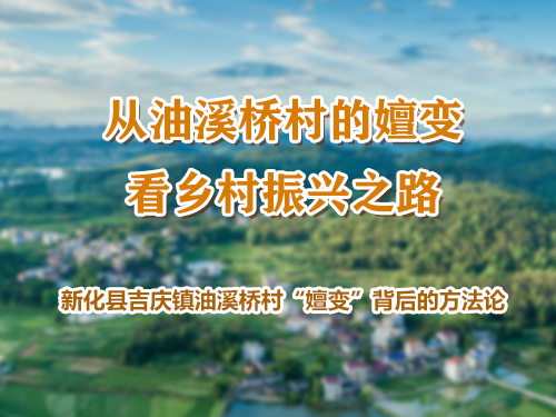 从油溪桥村的嬗变  看乡村振兴之路 ——新化县吉庆镇油溪桥村“嬗变”背后的方法论